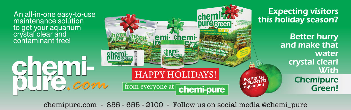 TFH-HOLIDAY-2022-CHEMIPURE-AD-PR