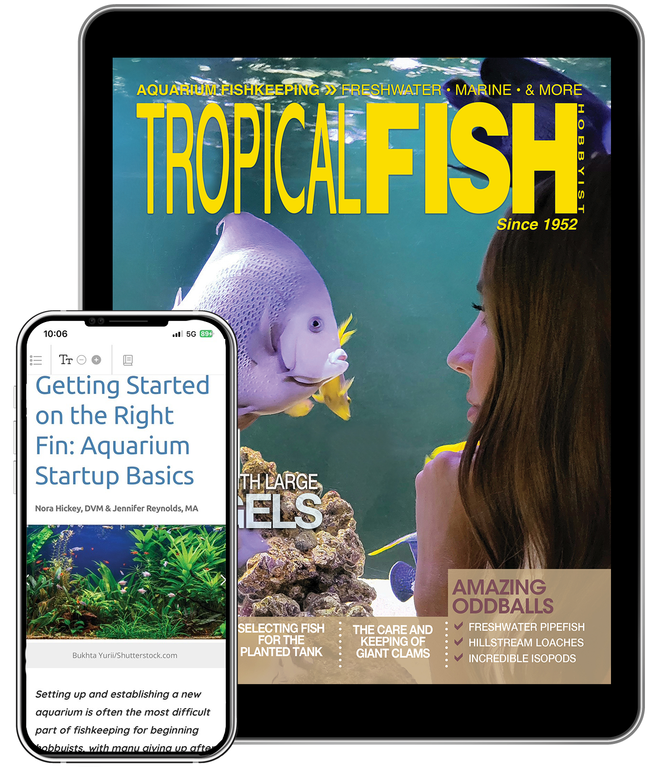 Free Issue iPad iPhone Image