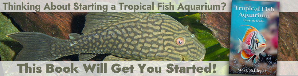 AquariumbookbannerFINAL2025