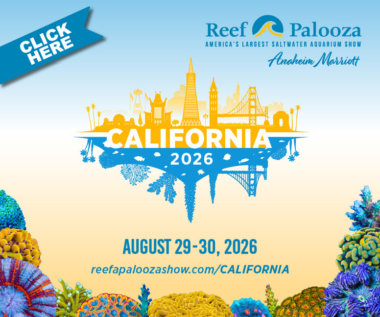Reefapalooza Display Ad