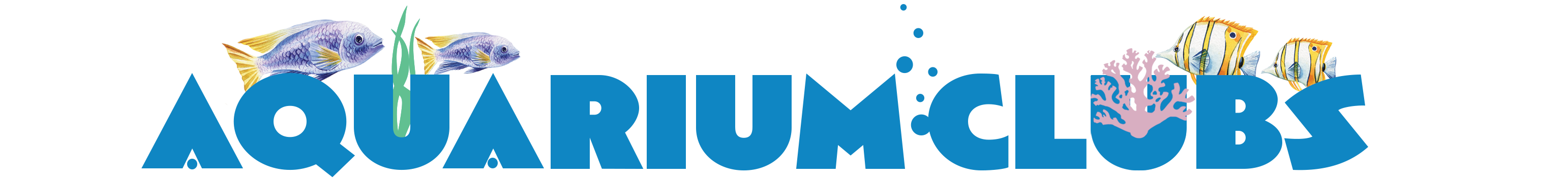 aquarium-club-transparent
