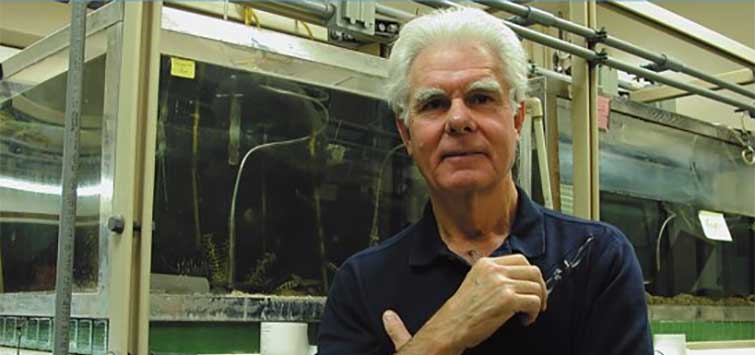 american cichlid association