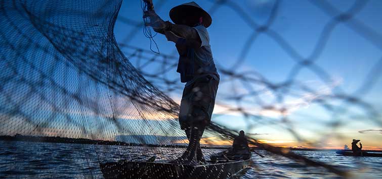 How to Make a Homemade Fishing Net