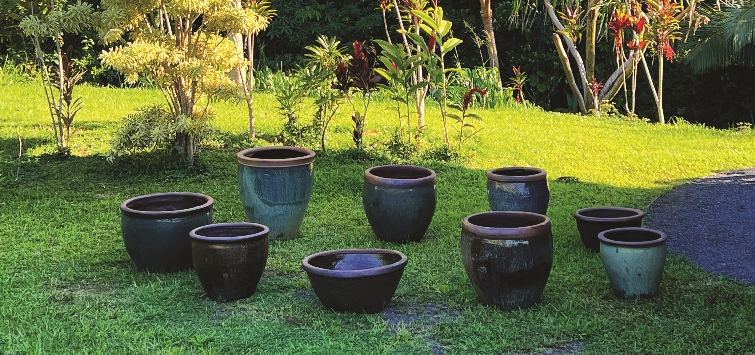 container-ponds-on-grass